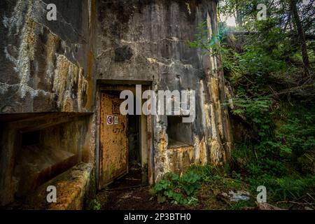 Abandoned, destoyed concrete bunker with embrasure in summer forest.Entrance to the bunker. Dolomites, Italy Stock Photo