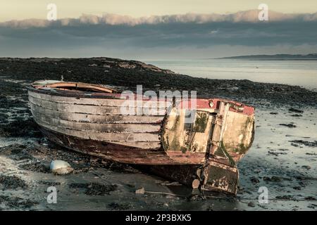 The remains of an abandoned wooden boat are left to decay on the shoreline of the River Torridge estuary in North Devon. Stock Photo