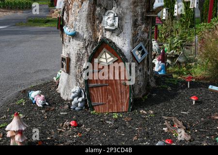 Small door on bottom of a tree trunk for gnome and elf home as decoration and fun. Stock Photo