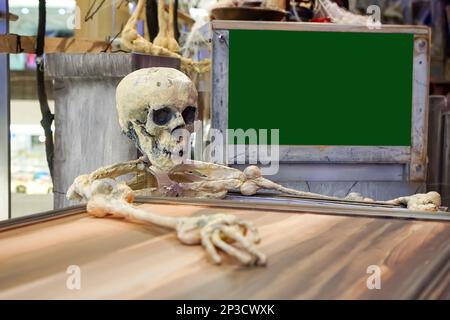 A human skeleton is sitting in a box, a coffin, with a green screen in the background. Halloween concept, scary. High quality photo Stock Photo