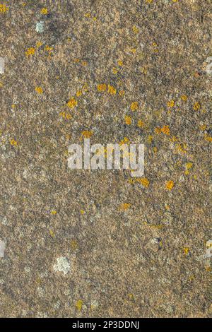 The beige colored wall with the cracked stucco texture background. Stock Photo