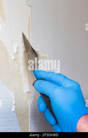 Person stripping wallpaper using a scraper hand tool. Do it yourself concept Stock Photo
