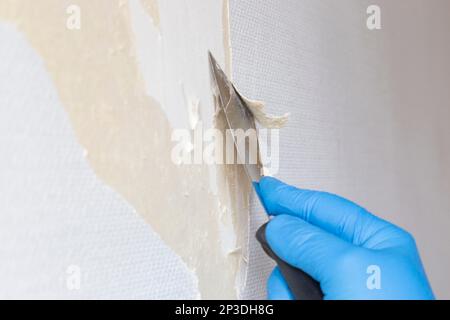 Person stripping wallpaper using a scraper hand tool. Do it yourself concept Stock Photo