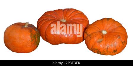 Three pumpkins isolated on a white background. Halloween concept Stock Photo