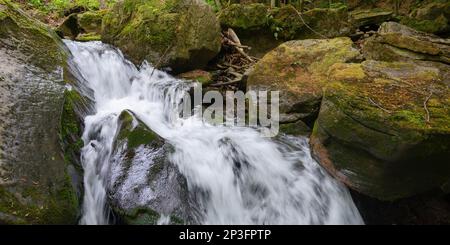 waterfall on the river in forest. beautiful landscape of carpathian beech forest Stock Photo