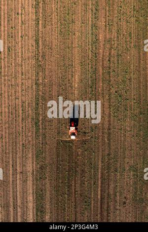 Aerial shot of agricultural tractor with crop sprayer attached spraying herbicide chemical over corn plantation, drone pov directly above Stock Photo