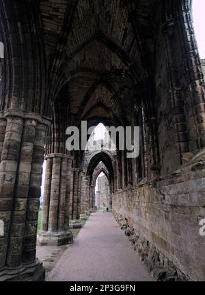 Whitby Abbey vaulted roof section in the aisle, Whitby, North Yorkshire Stock Photo