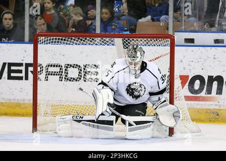 January 30, 2014: Manchester Monarch's Center Mike Richards (18) sits after  a shift. The Manchester Monarchs defeated the Portland Pirates 3-1 in a  regular season AHL game at Verizon Wireless Arena in