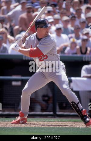MLB Network on X: #OTD in 1998: @Cardinals star Mark McGwire became the  first player in MLB history to hit 50 homers in three consecutive years 💪  McGwire would go on to