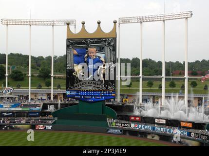 Kansas City Royals 6'' x 6'' Team Logo Block