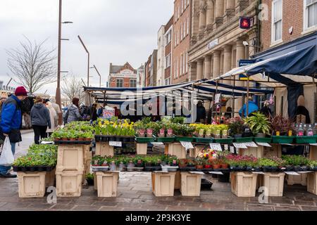 A stall sells spring bedding plants at the Saturday Market on the High Street in Stockton on Tees, UK. Stock Photo