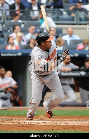 Baltimore Orioles outfielder Nelson Cruz (23) during game against the New  York Yankees at Yankee Stadium in Bronx, New York on September 24, 2014.  Orioles defeated Yankees 9-5. (AP Photo/Tomasso DeRosa Stock Photo - Alamy