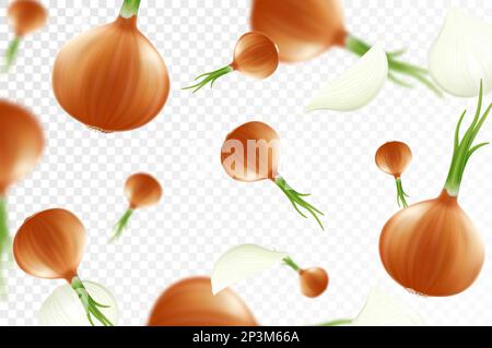 Onion background. Falling fresh ripe onions, isolated on transparent background. Selective focus. Flying defocusing onions. Applicable for ketchup, ju Stock Vector