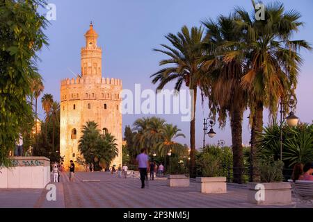 Torre del Oro,Gold tower,Sevilla,Andalucía,Spain Stock Photo