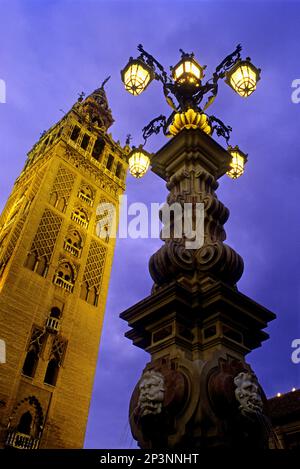 Giralda as seen from Virgen de los Reyes square. Seville, Andalusia, Spain. Stock Photo
