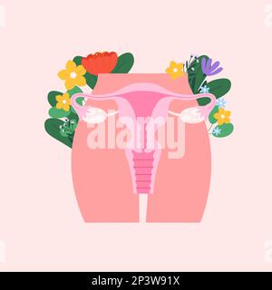 Female reproductive system poster. Women period, healthy maternity and pregnancy. Uterus and ovaries, cartoon gynecology vector illustration Stock Vector