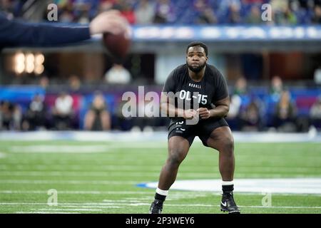 UAPBFootball: NFL Prospect Mark Evans II Invited To NFL Combine - UA Pine  Bluff Athletics