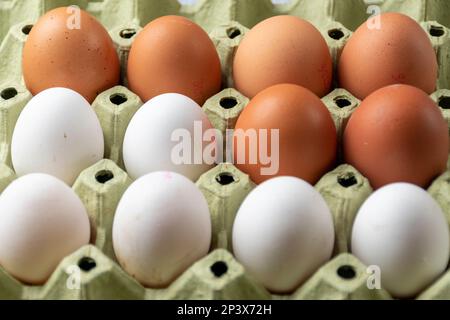 Eggs in a paper box Stock Photo
