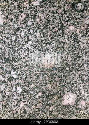 granite polished, abstract mottled spotted natural background Stock Photo