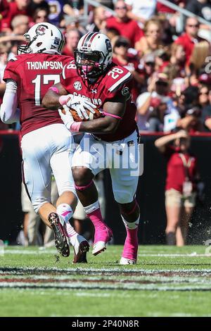 Oct 18 2014 South Carolina Gamecocks wide receiver K.J. Brent