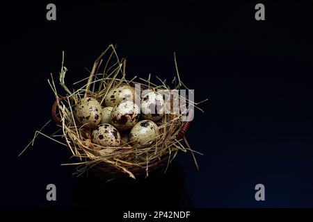 Happy Easter background concept. Easter decoration as nest in basket with quail eggs. Creative easter layout. Copy space Stock Photo