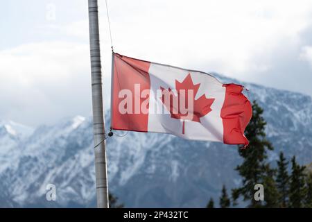 Canadian maple leaf flag seen flying half mast on a flag pole in northern Canada during fall, autumn season with stunning snow capped mountains. Stock Photo