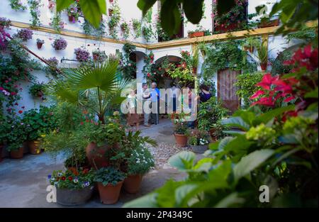 Cordoba.Andalusia. Spain: Typical courtyard, in 37 Lineros street Stock Photo