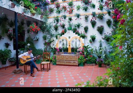 Cordoba.Andalusia. Spain: Typical courtyard, in 14 San Basilio street Stock Photo