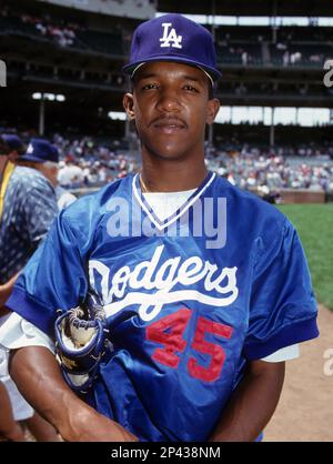 Circa 1993: Pedro Martinez of the Los Angeles Dodgers. (Icon Sportswire via  AP Images Stock Photo - Alamy