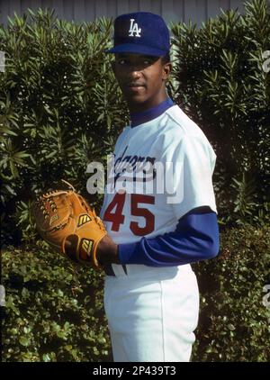 Pedro Martinez 45 Men's Los Angeles Dodgers Baseball Player