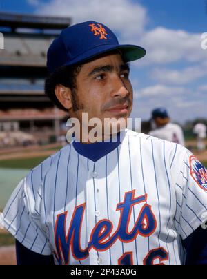 Infielder Bud Harrelson of New York Mets is shown in St. Petersburg, Fla.,  March 1976. (AP Photo/Harry Harris Stock Photo - Alamy