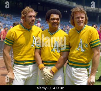 Oakland Athletics' player Reggie Jackson is shown with fans in front of the  dugout at the Oakland Coliseum, Sept. 1969. (AP Photo Stock Photo - Alamy