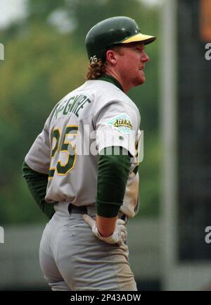 file-mark-mcgwire-of-the-