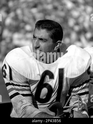 Bill George, middle linebacker with the Chicago Bears, is seen in