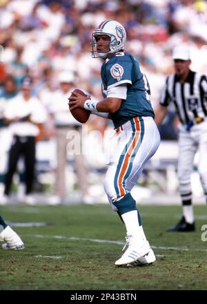 Dan Marino 0f the Miami Dolphins Stock Photo - Alamy