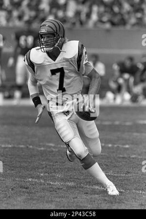 Quarterback Boomer Esiason of the Cincinnati Bengals drops back to