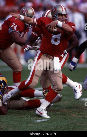 Steve Young #8 of the San Francisco 49ers drops back to pass.Circa the  1980's. (Icon Sportswire via AP Images Stock Photo - Alamy