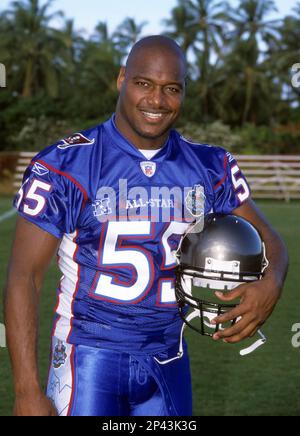 Derrick Brooks  Nfl teams, Football helmets, Sports stars