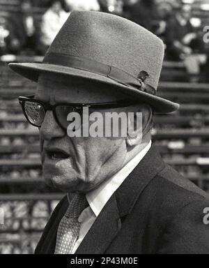 George halas bears hi-res stock photography and images - Alamy