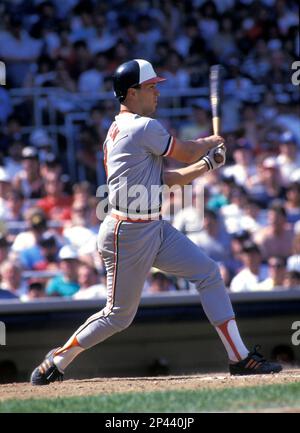 Cal Ripken Jr. # 8 2001 Baltimore Orioles Baseball India