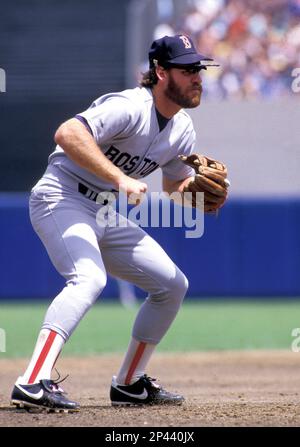 Boston Red Sox Wade Boggs (26) during a game from his career with the  Boston Red Sox at Yankee Stadium in the Bronx, New York. Wade Boggs played  for 18 years with 3 different teams, was a 12-time All-Star, 5-time  American League Batting Champion