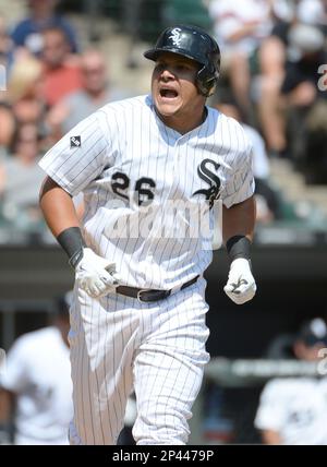 CHICAGO, IL - AUGUST 26: Chicago White Sox shortstop Tim Anderson (7) and  Chicago White Sox infielder Tyler Saladino (20) stand side by side in their players  weekend jersey in the 5th