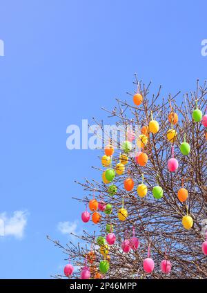 Multi-colored decorative Easter eggs on tree branches against a blue sky in a vertical format Stock Photo