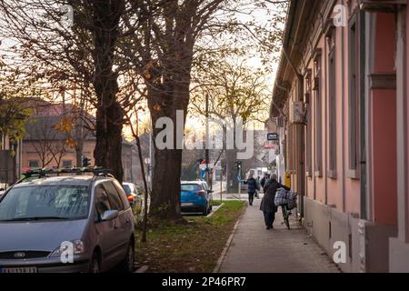 Picture of a senior person in Pancevo, Serbia, carrying bags of groceries, heavy, containing mainly food, on their way back from the supermarket. Stock Photo