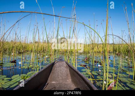 View of the Khwai River in the Okavango Delta, Botswana, Africa Stock ...