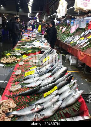 ISTANBUL, TURKEY - JANUARY 26: Raw fishes on the fish counter on January 26, 2019 in Istanbul, Turkey. Stock Photo