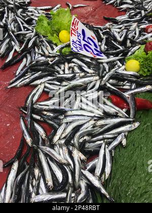 Raw anchovies (Turkish: Hamsi) on the fish counter. Stock Photo