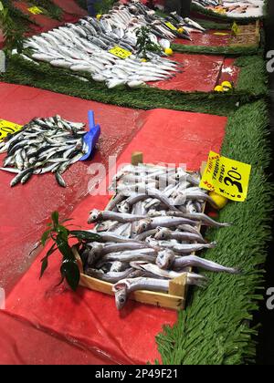 Raw fishes on the fish counter in Istanbul, Turkey. Stock Photo