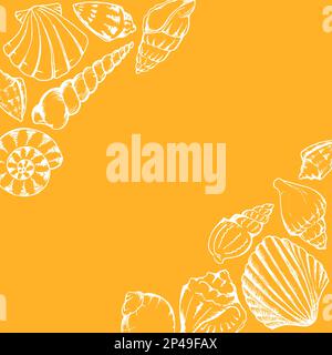 Monochrome sea shells line art hand drawn frame vector isolated Stock ...