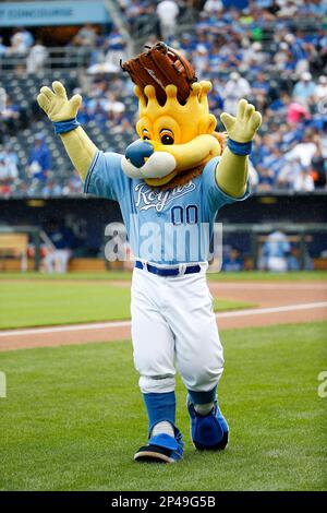 Kansas City Royals mascot Sluggerrr dons his Johnny Cueto wig for Game 2 of  the World Series on Wednesday, Oct. 28, 2015, at Kauffman Stadium in Kansas  City, Mo. (Photo by Joe